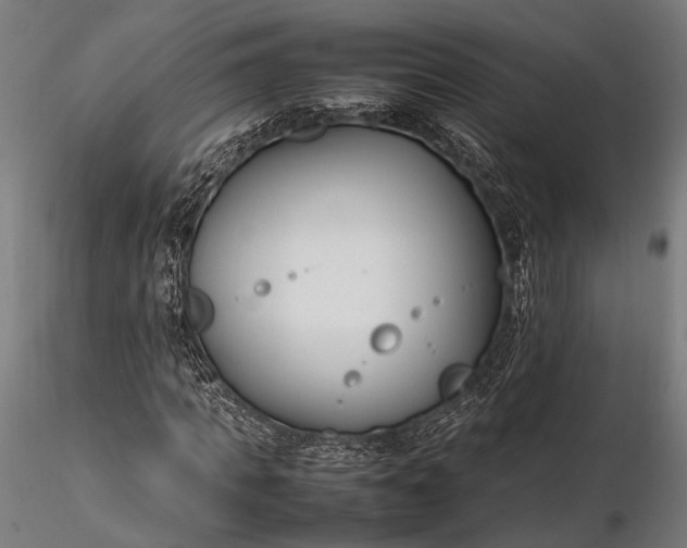 X0000116290917200912141308