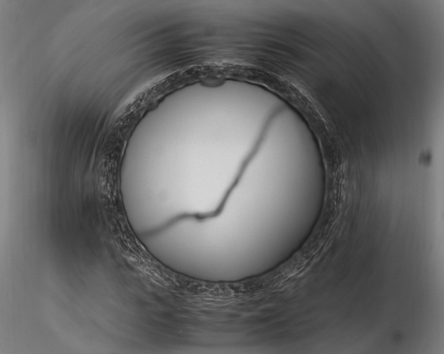 X0000116290919200912141308