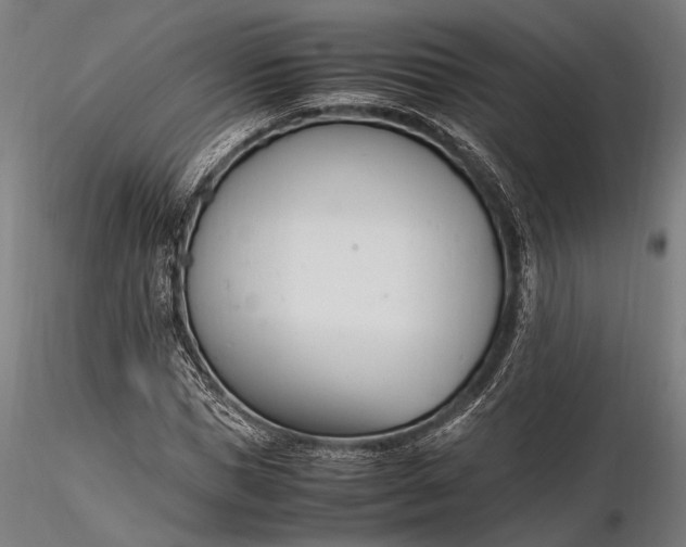 X0000116290921200912141308