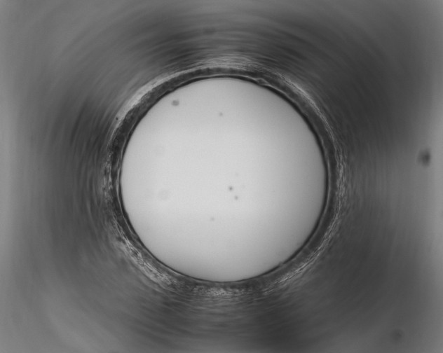 X0000116290923200912141308