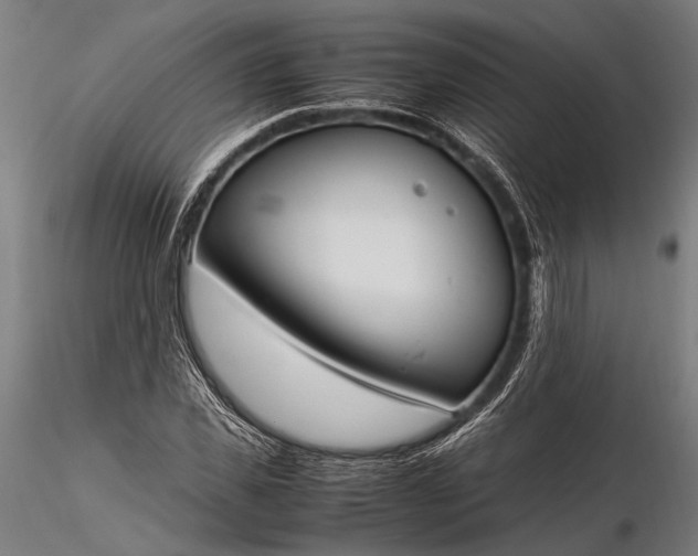 X0000116290925200912141308