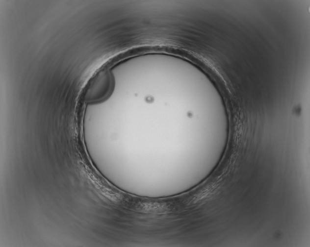 X0000116290927200912141308