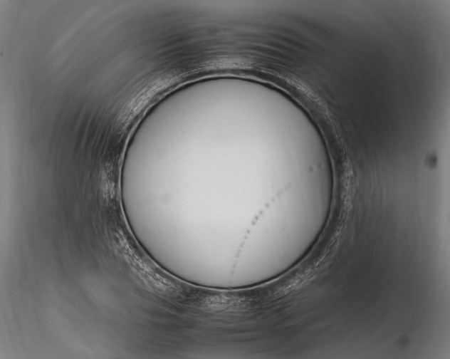 X0000116290929200912141308