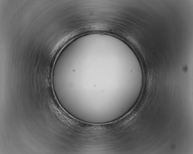 X0000116290930200912141308