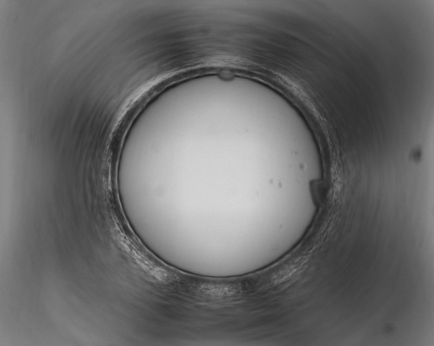 X0000116290931200912141308