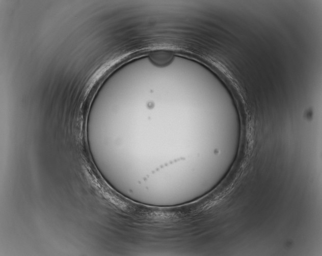 X0000116290933200912141308