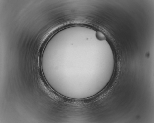 X0000116290934200912141308