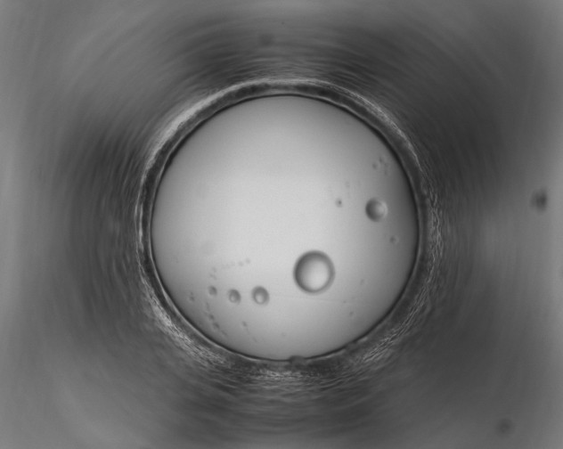 X0000116290935200912141308