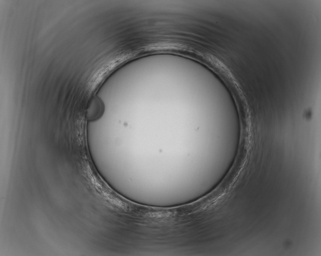 X0000116290937200912141308