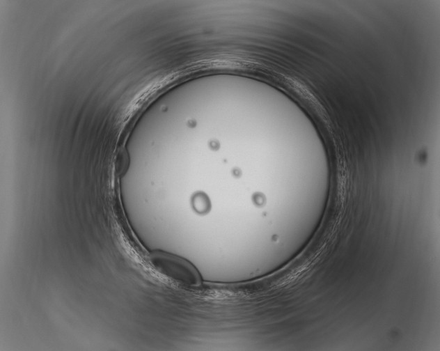 X0000116290938200912141308