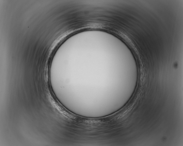 X0000116290939200912141308