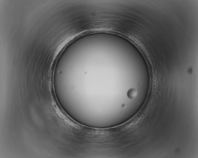 X0000116290941200912141308