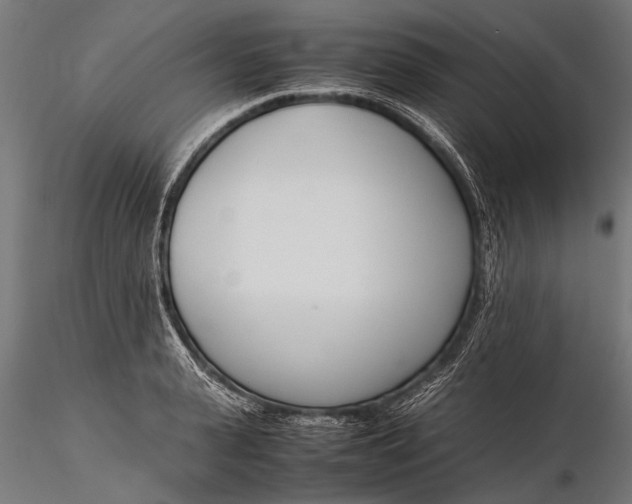 X0000116290943200912141308