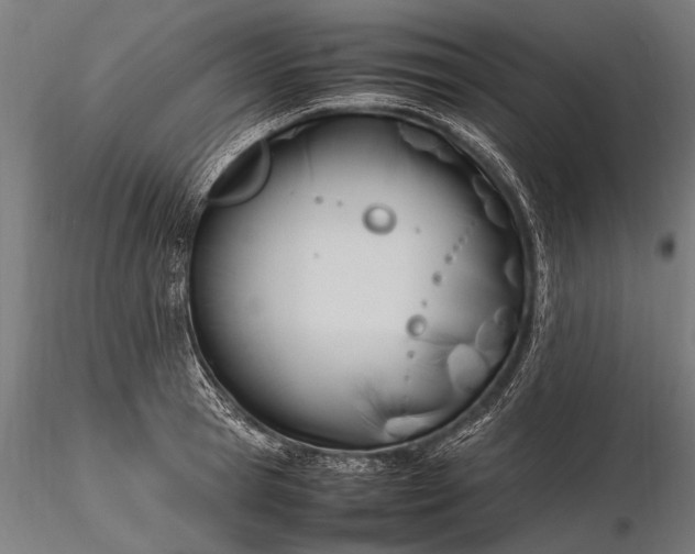 X0000116290945200912141308