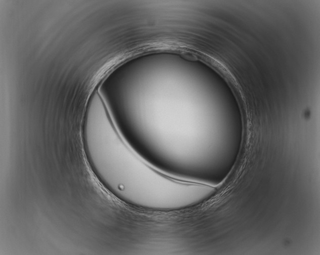 X0000116290946200912141308