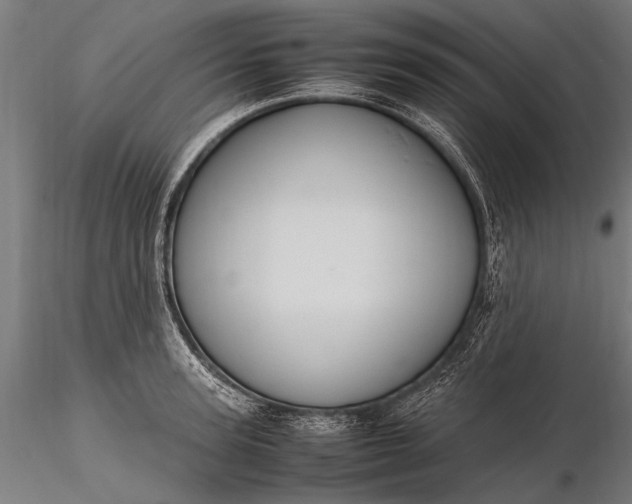 X0000116290947200912141308