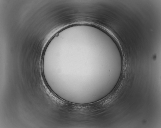 X0000116290951200912141308