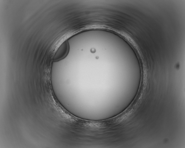 X0000116290953200912141308