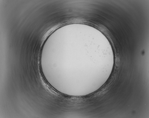 X0000116290954200912141308