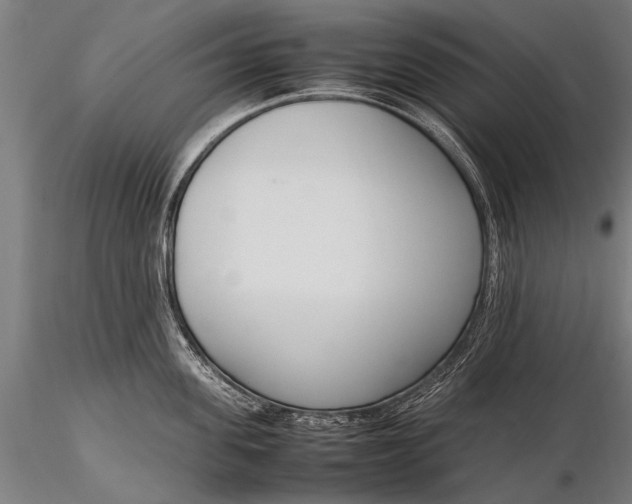 X0000116290955200912141308