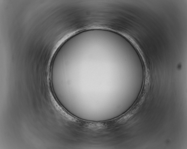 X0000116290957200912141308