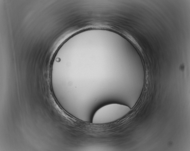 X0000116290959200912141308