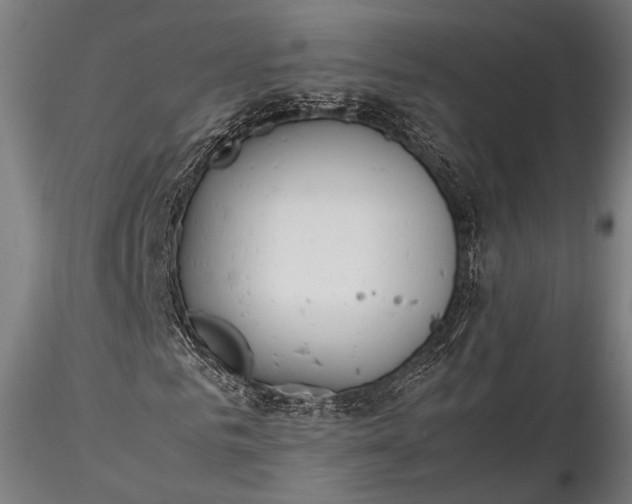 X0000116290961200912141308