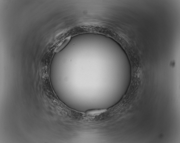 X0000116290965200912141308