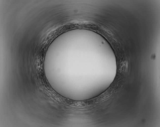 X0000116290966200912141308