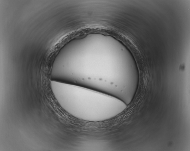 X0000116290968200912141308