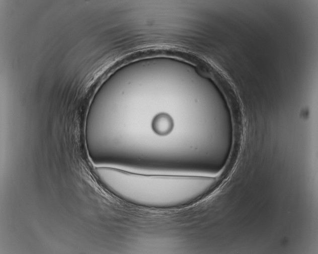 X0000116290969200912141308