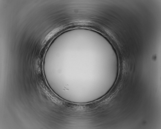 X0000116290970200912141308