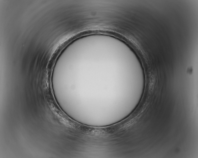 X0000116290974200912141308