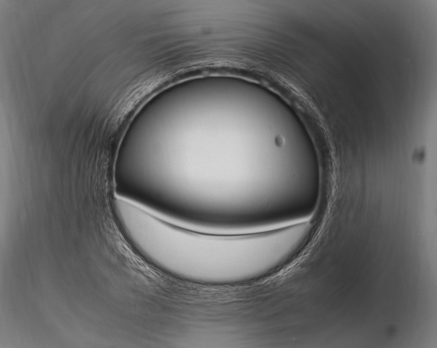 X0000116290977200912141308