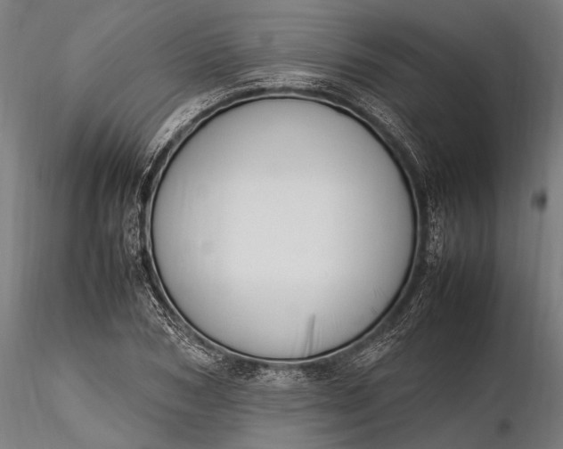 X0000116290978200912141307