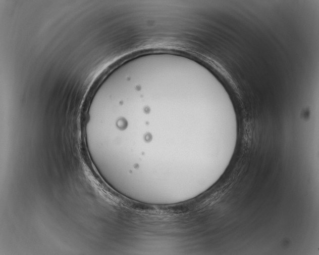 X0000116290980200912141307