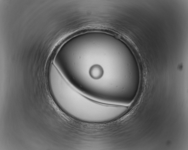 X0000116290981200912141307