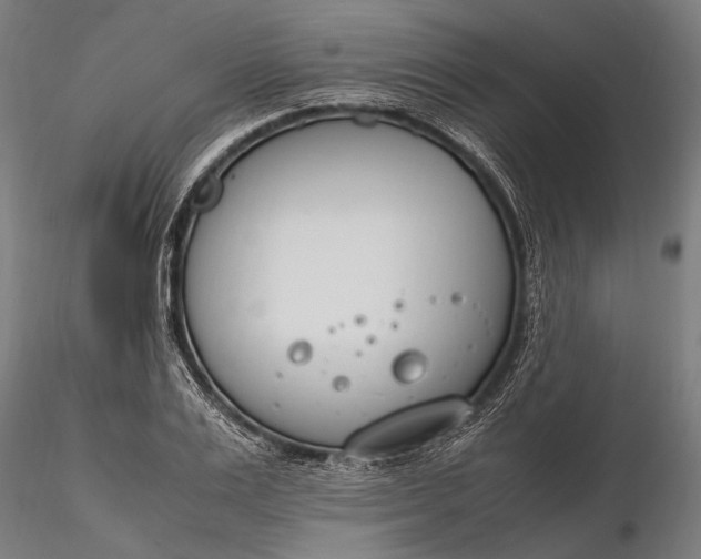 X0000116290983200912141307