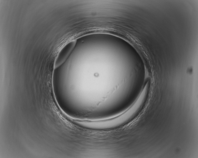 X0000116290985200912141307