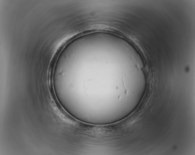 X0000116290987200912141307