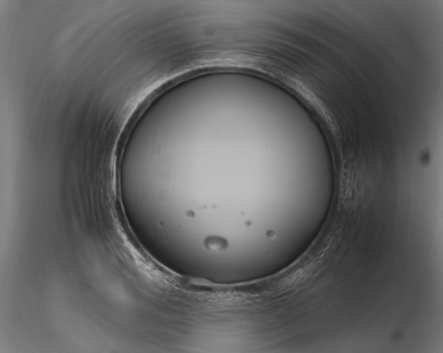 X0000116290988200912141307