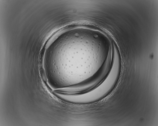 X0000116290989200912141307