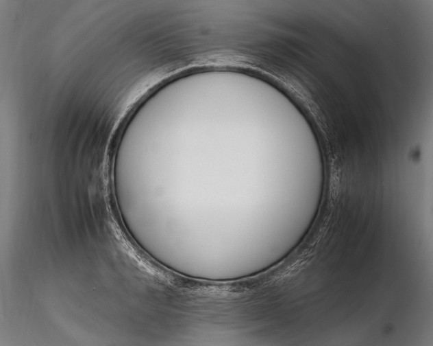 X0000116290990200912141307