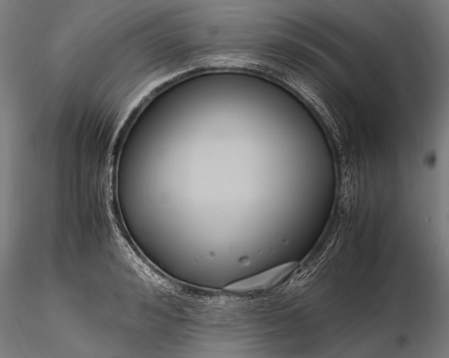 X0000116290992200912141307