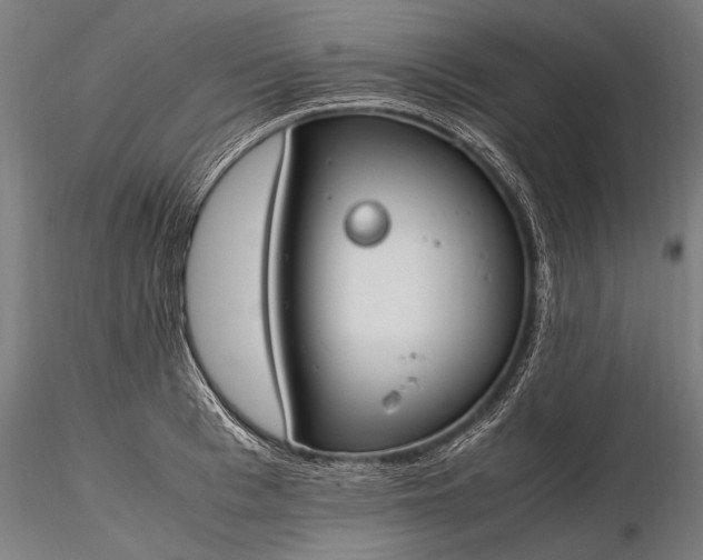 X0000116290993200912141307