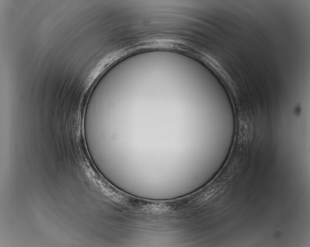 X0000116290994200912141307