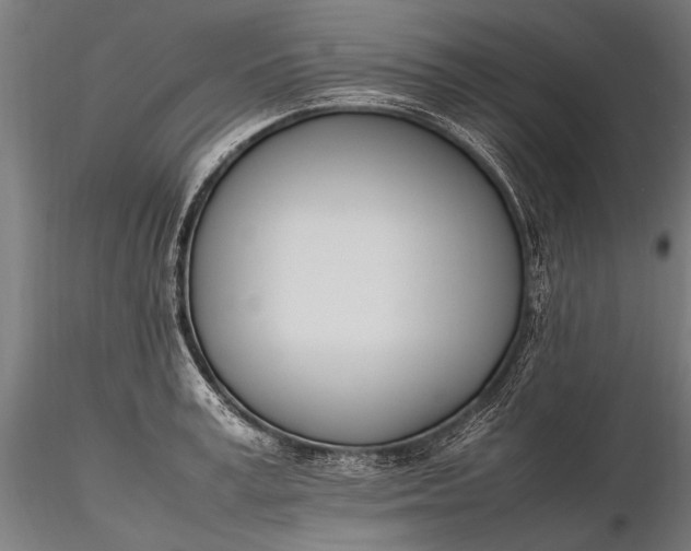 X0000116290995200912141307