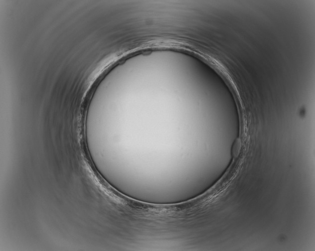 X0000116290997200912141307