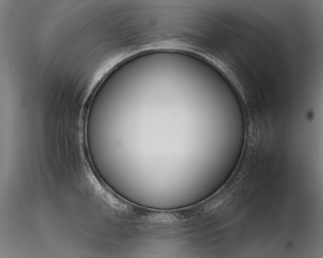 X0000116290998200912141307