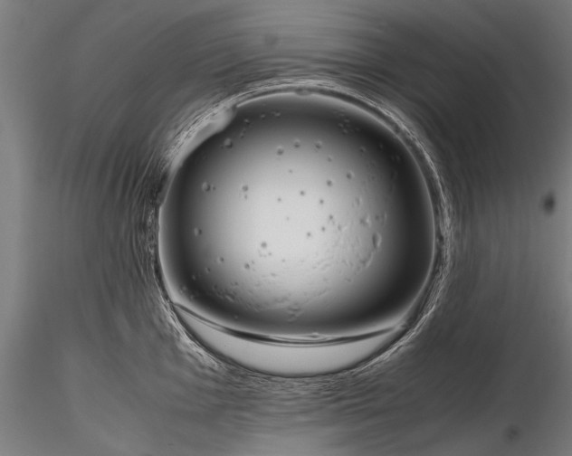 X0000116291001200912141307